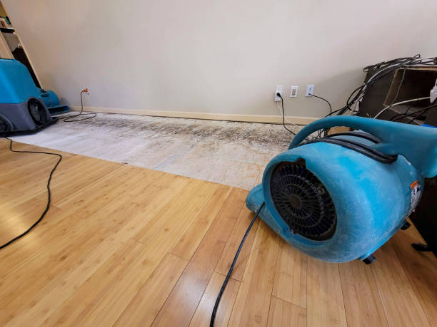 Professional Water Removal technician working in Lovettsville, VA